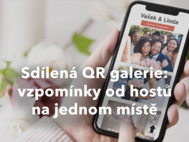 sdilena galerie pre